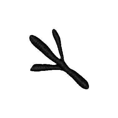 Chicken Foot Print Machine Embroidery Design